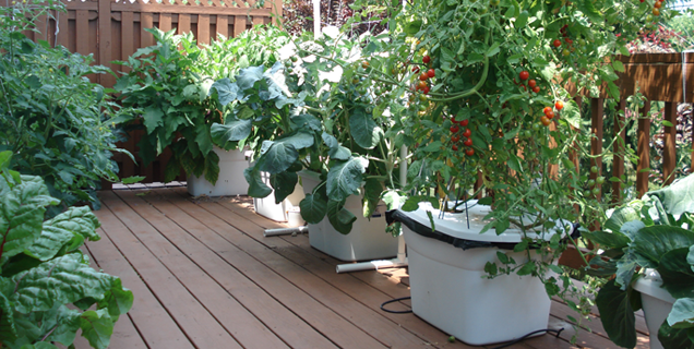 deck garden_1