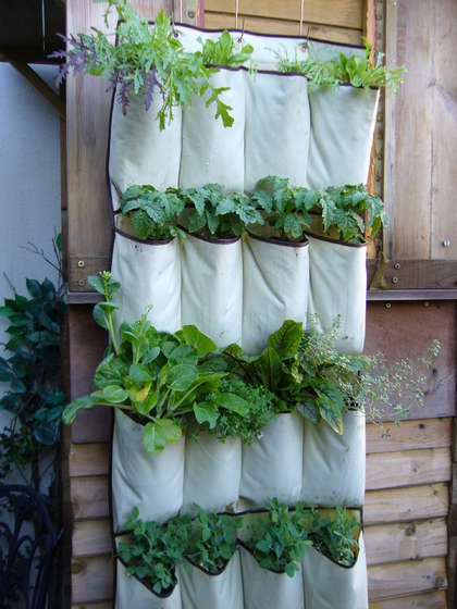 shoe-bag-garden